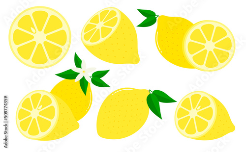 レモン(れもん・檸檬)断面や葉付きのベクターくだものイラストセット_夏