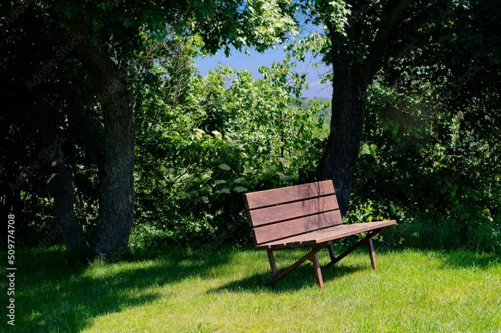 Bench under the trees. Romantic place to relax in nature.