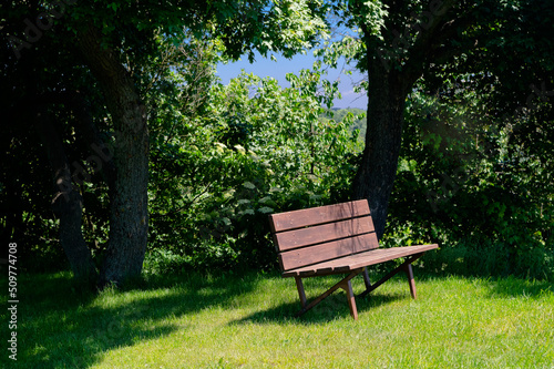 Bench under the trees. Romantic place to relax in nature.