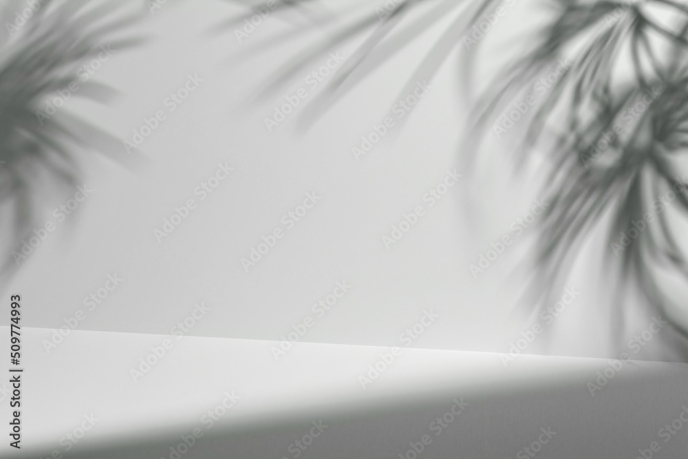 Showcase background with natural hard light and tropical plants shadows. 3d illustration for brand identity banner. Perfect for product presentation, blog, thumbnail, social media post, branding Showcase background with natural hard light and tropical plants shadows. 3d illustration for brand identity banner. Perfect for product presentation, blog, thumbnail, social media post, branding
