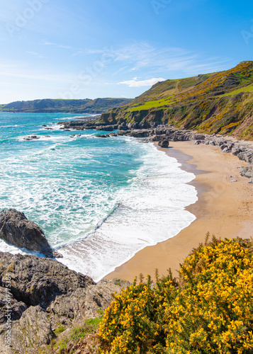 Fototapeta Naklejka Na Ścianę i Meble -  Portrait view of Mattiscombe Sands, Kingsbridge - Devon, UK
