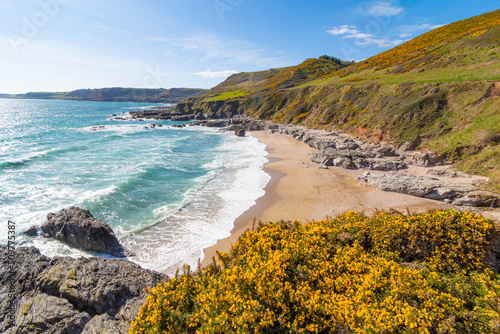 Springtime landscape view of Mattiscombe Sands, Kingsbridge - Devon, UK