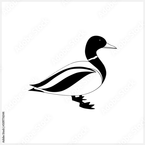 Doodle duck clip art isolated. Hand drawn animal. Stencil hand drawn bird. Vector stock illustration. EPS 10