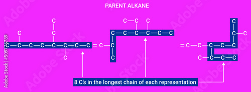 Structure of the parent alkane photo
