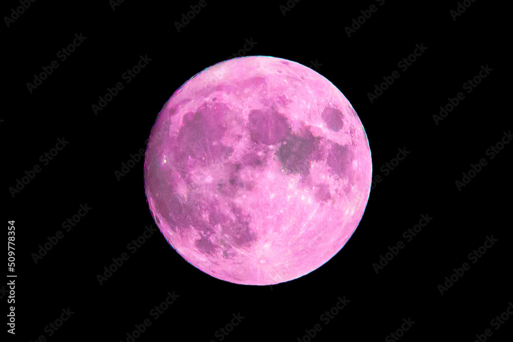 Pink Moon. Cold moon. Super full moon with dark background. Madrid