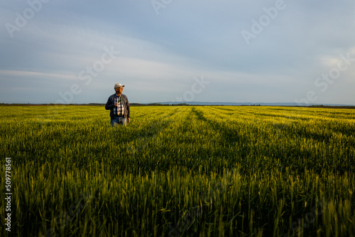 Senior farmer standing in barley field examining crop. © Zoran Zeremski