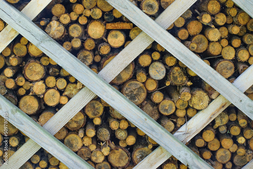 Skład drewna opałowego na zimę chrust