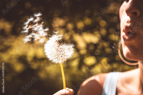 The Blow