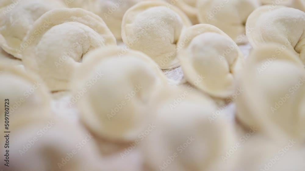 homemade fashioned beautiful raw dumplings lie in even rows on a plank homemade fashioned beautiful raw dumplings lie in even rows on a plank