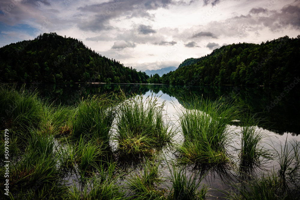 See, Alatsee, Füssen, Bergsee, Wald, Spiegelung, Wolken, Landschaft, Natur, Allgäu, Bayern See, Alatsee, Füssen, Bergsee, Wald, Spiegelung, Wolken, Landschaft, Natur, Allgäu, Bayern