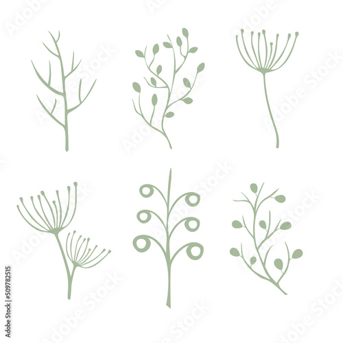 Leaves vector set isolated from the background Leaves different shapes in modern flat style