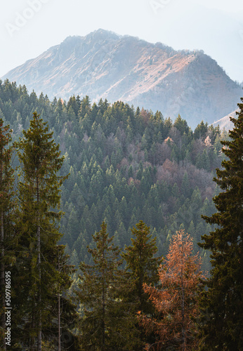 Val Seriana, its peaks, woods and autumnal landscape during an October afternoon, near the town of Clusone, Italy - October 2021