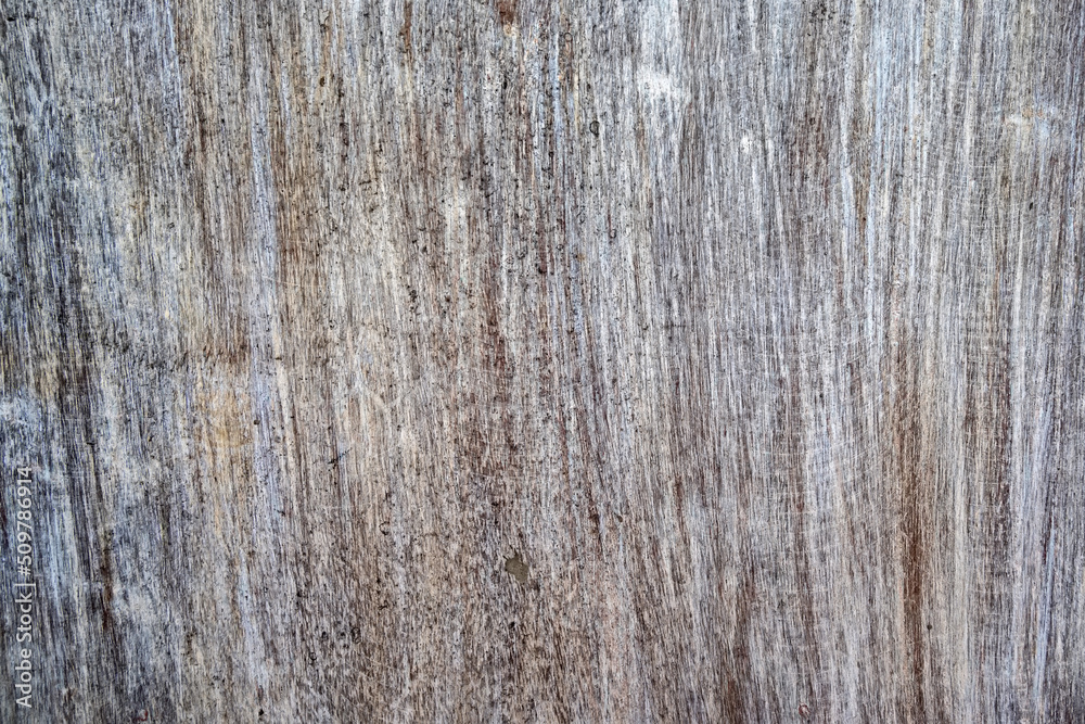 Old board painted in white color and bronze patina Old board painted in white color and bronze patina