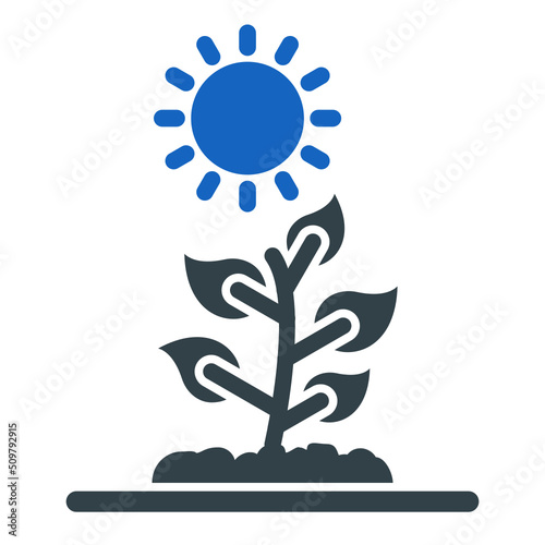 Photosynthesis Icon Design