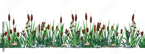 Cattail border. Seamless pattern of swamp reed plants, pond and river botany background. Vector strip print of bulrush grass