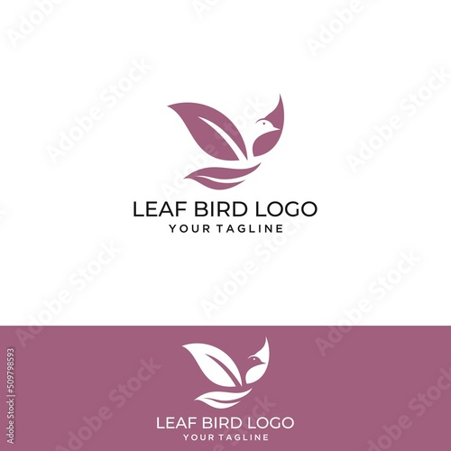 Flying dove logo