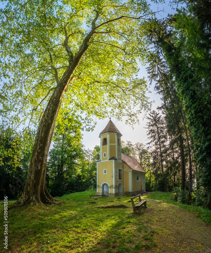 Obraz na płótnie Castle Mokrice on a spring evening with dramatic clouds and forest. A fortress in the woods.
w salonie