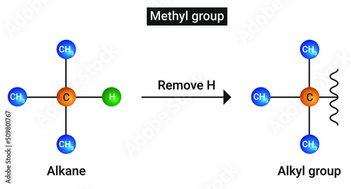 Methyl group: Removal of H atom from alkane results in an alkyl group