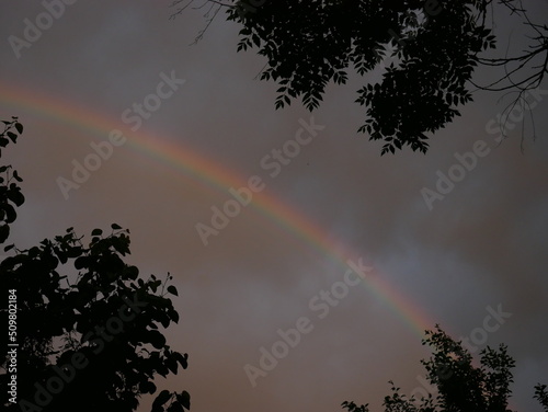 rainbow in the dark sky and branches © TK_Office
