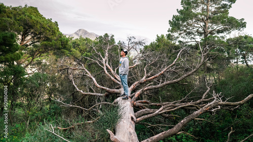 A young guy in a cap stands on a fallen tree in the mountains of Montenegro. The guy walks in the mountains of Montenegro. Conservation of nature in the mountains. View of Sutomore in Montenegro
