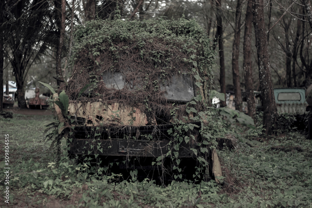 old truck in the woods old truck in the woods