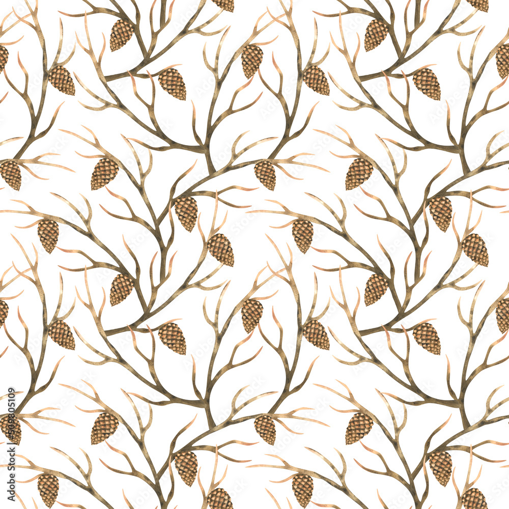 Obraz premium Dry tree branches and triangular cones. Brown intertwining branches. Forest motif. Tree texture.