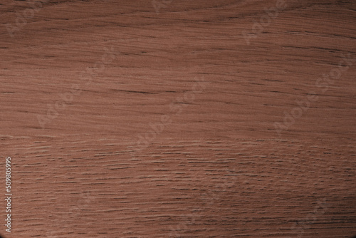 texture background - wood texture background