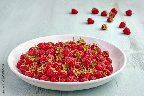 Fresh sweet raspberries are poured into a white plate and on a blue wooden background