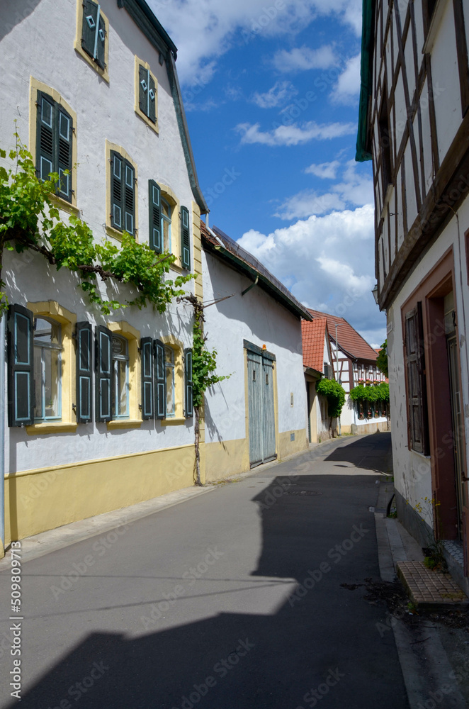 Freinsheim in der Pfalz