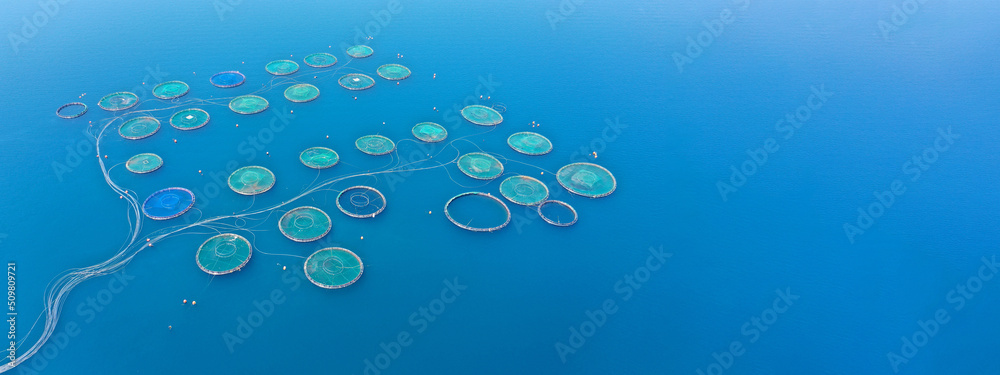 Aerial drone ultra wide panoramic photo with copy space of sea bass and sea bream fishery or fish farming unit in Mediterranean calm deep blue sea Aerial drone ultra wide panoramic photo with copy space of sea bass and sea bream fishery or fish farming unit in Mediterranean calm deep blue sea