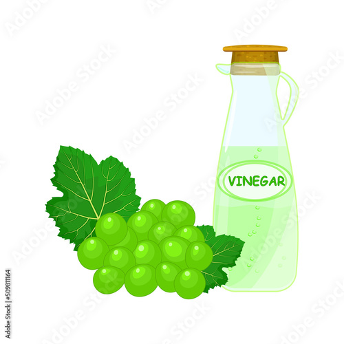 Green grapes and bottle of vinegar.Fruit cider vinegar in glass pitcher. Ingredients for cooking, baking, salad dressing and preservation.Flavoring balmy essence jug.Condiment and food dressing.Vector