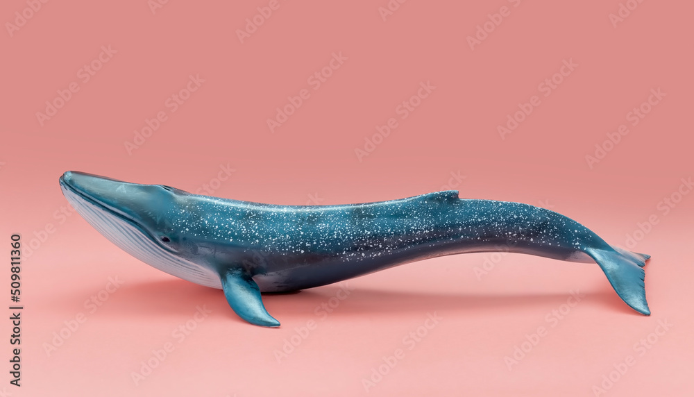 Obraz premium The whale is viewed from the side on a pink background. Coral
