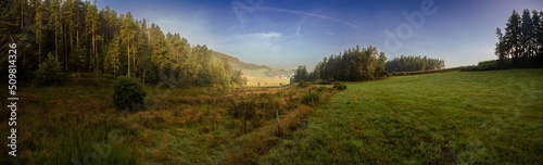 Pré et zone humide en pente, entouré de forêt de pins, Allègre, Haute-Loire, Auvergne-Rhône-Alpes, France