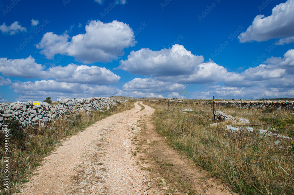 Camminando nell'altopiano dell'Alta Murgia lungo la Via Peuceta del Cammino Materano in Puglia Camminando nell'altopiano dell'Alta Murgia lungo la Via Peuceta del Cammino Materano in Puglia