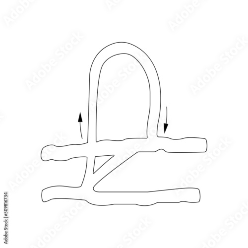 Circulation, Components of the microcirculation. Flat illustration
