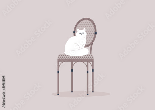 A cat sitting on a rattan outdoor cafe chair, French lifestyle