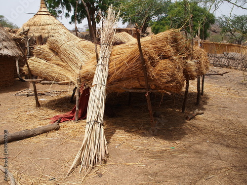 Des végétaux séchés dans un village du Sahel au Tchad