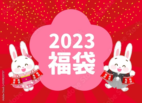 イラスト素材: 着物姿のかわいい干支シリーズ　卯年バナー素材　「福袋」文字入りの横位置広告　
