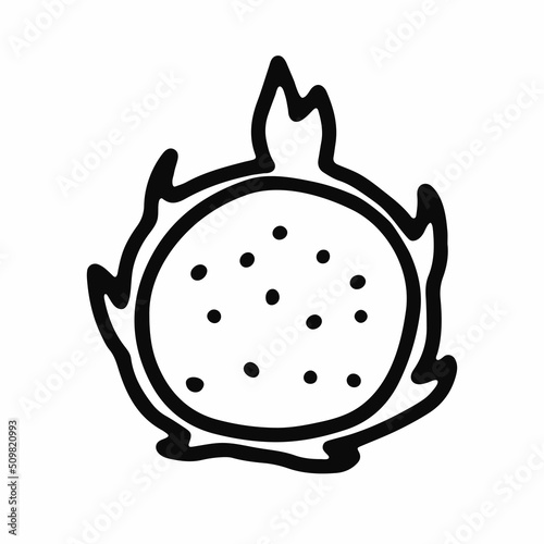 Doodle ripe dragon fruit. Outline pitahaya isolated on white background. Hand-drawn line Pitaya fruit. Symbol of summer, healthy raw food, exotic food. Fresh cute tropical print. Vector illustration