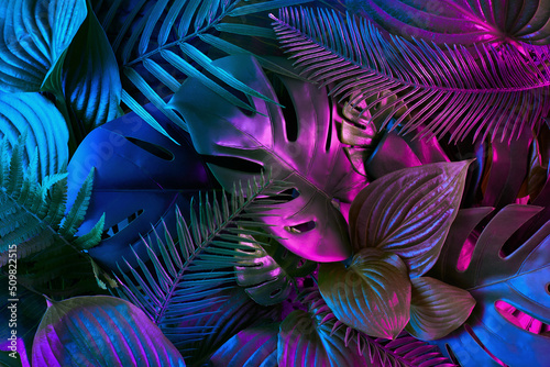 Fototapeta Naklejka Na Ścianę i Meble -  Creative flat lay with leaves in vibrant gradient holographic neon colors. Minimal jungle background. Creative summer concept.