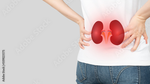 Woman suffering from low back pain with kidney anatomy shape. Cause of flank pain include urinary tract infection, kidney infection, kidney stone, an injury or kidney cancer. Nephrology concept.