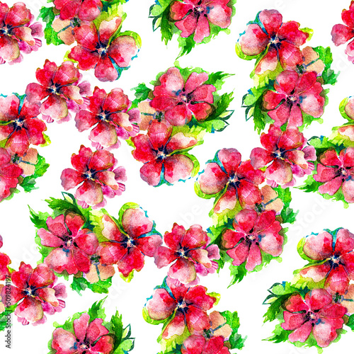 Watercolor pictorial red flowers in seamless backgrounds and textures. Isolated PNG with transparent background