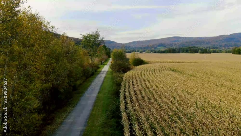 Bike trail in fall in Vermont - Drone video Bike trail in fall in Vermont - Drone video