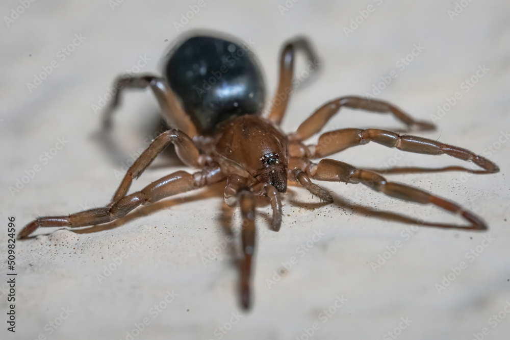 Over the last few months I have been trying out macro photography in which my lens has to be no further than 10 cm away from my subject. Over the last few months I have been trying out macro photography in which my lens has to be no further than 10 cm away from my subject.