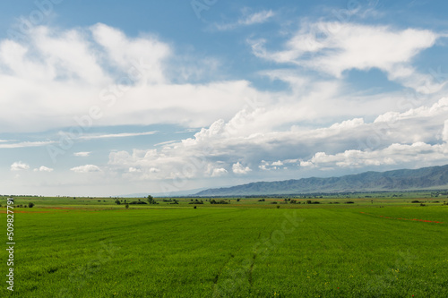 Mountain green valley and cloudy sky.Pasture in mountain valley.Mountain landscape.Natural background.