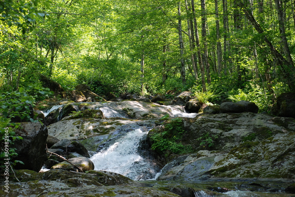 Obraz premium NATURE WONDERS