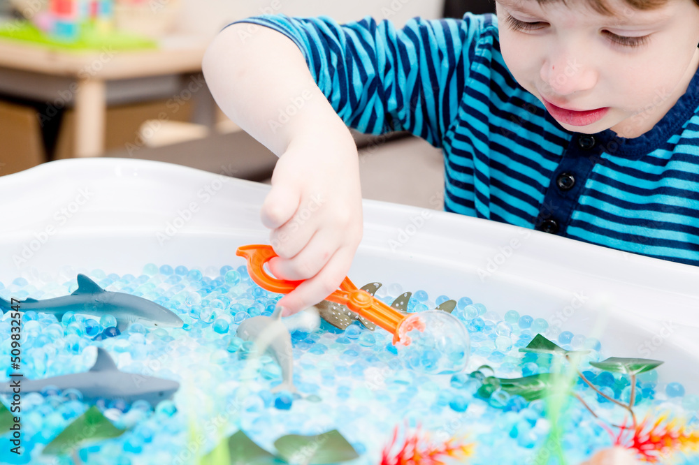 Water jelly ball pool with Caribbean see fishes toys and artificial