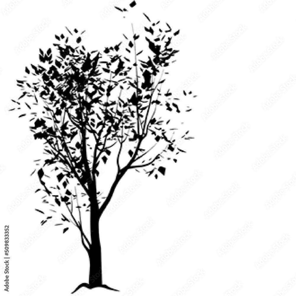 drawing picture graphic logo emblem icon nature background tree plants petals leaves beauty