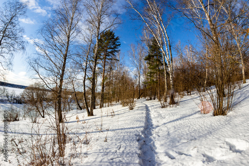 Panoramic view of winter forest at wide angle fisheye lens, walking path on snowy nature in early spring © PhotoChur