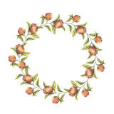 Isolated watercolor botanical round wreath with juicy fruits like peaches and branches on white background. Frame with summer vibes for designs of postcards, poster, greeting cards, clothes, T-shirts.